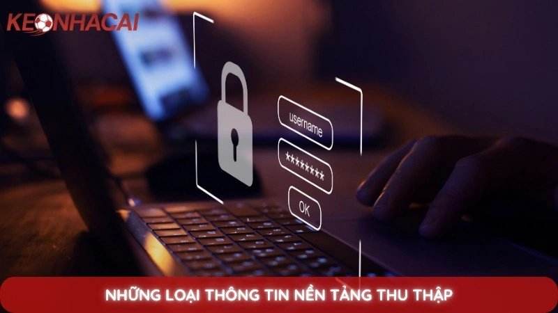 Những loại thông tin nền tảng thu thập